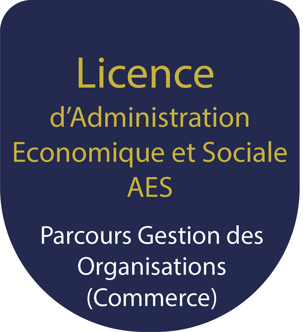 Licence d’Administration Economique et Sociale AES : Parcours Gestion des Organisations (Commerce)